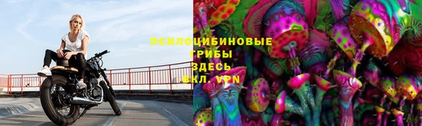 мяу мяу мука Балабаново
