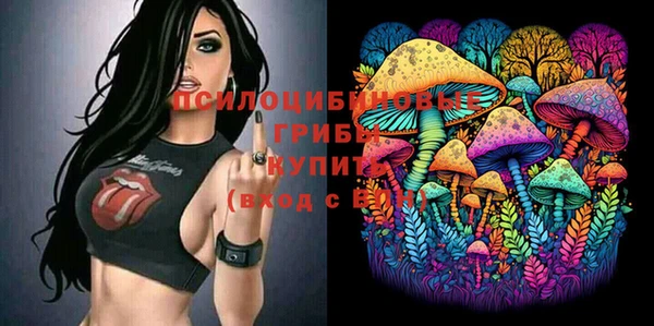 эйфоретик Баксан