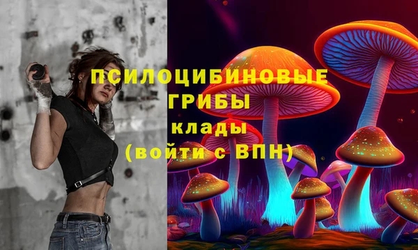 эйфоретик Баксан
