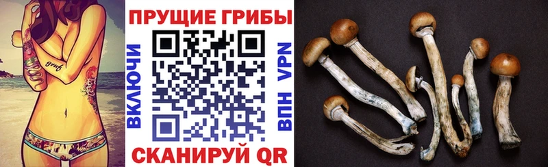 Псилоцибиновые грибы GOLDEN TEACHER  продажа наркотиков  MEGA вход  Бугульма 